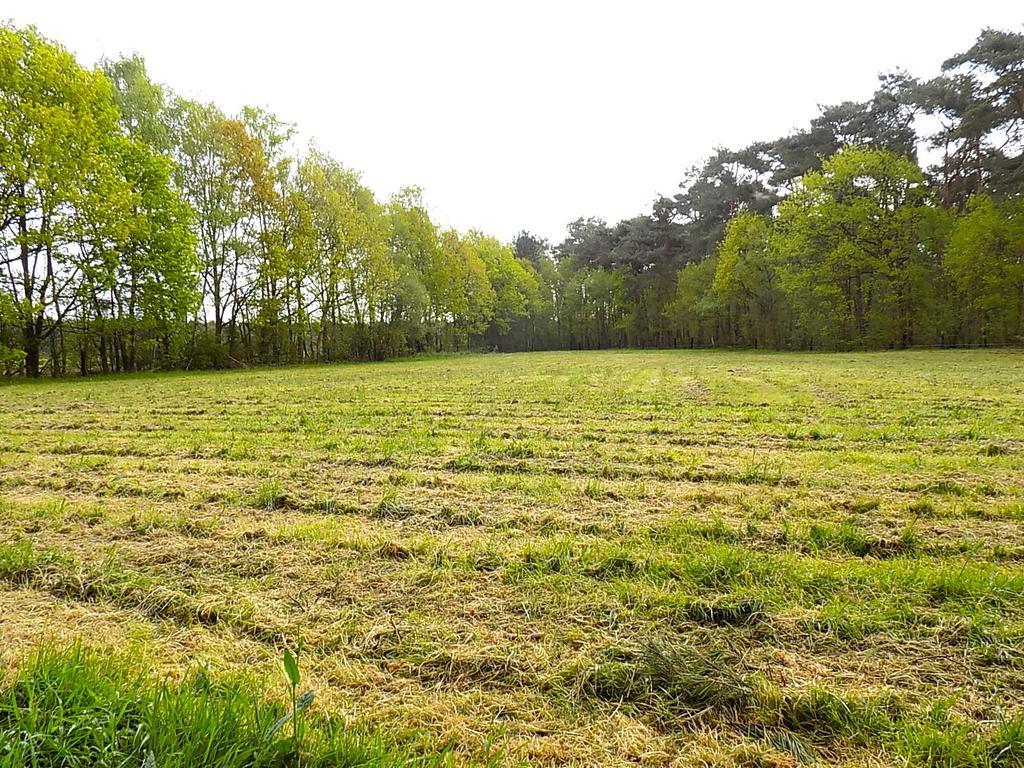 Verblijfpark De Brem Lille Bagian luar foto