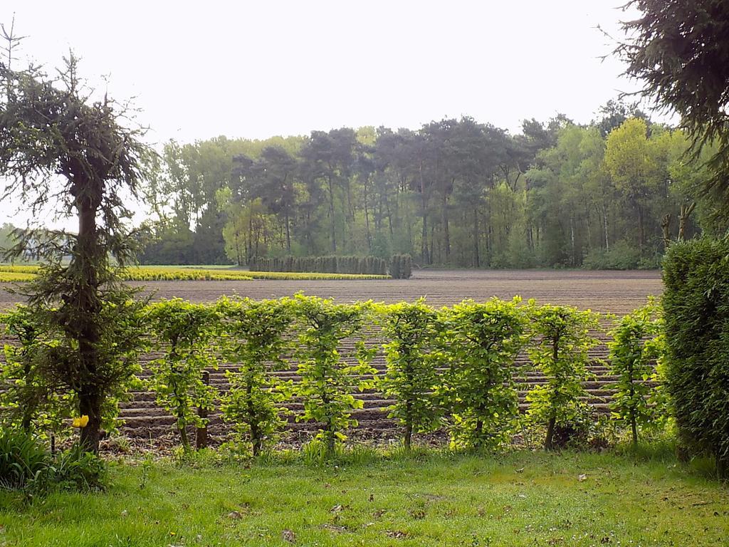 Verblijfpark De Brem Lille Bagian luar foto