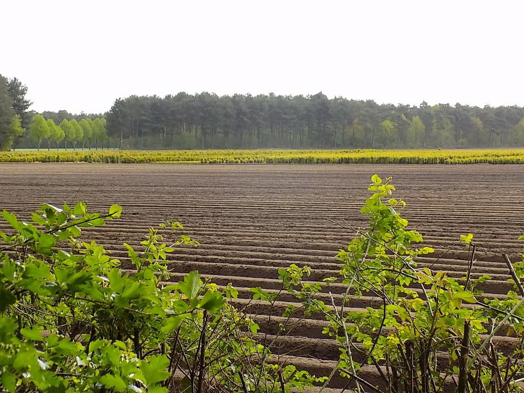 Verblijfpark De Brem Lille Bagian luar foto